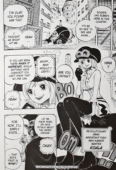 One Piece : Volume 73 - Operation Dressrosa S.O.P. – Books and You