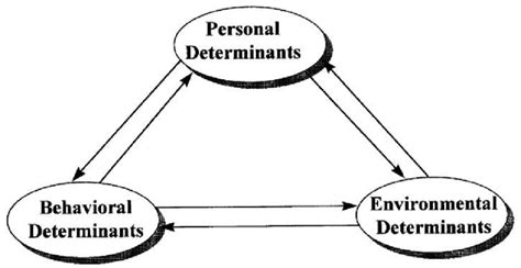 The Triadic Causation Model Of Social Cognitive Theory Download