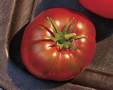 Usa Seller Paul Robeson Tomato Seeds Heirloom Solanum Lycopersicum