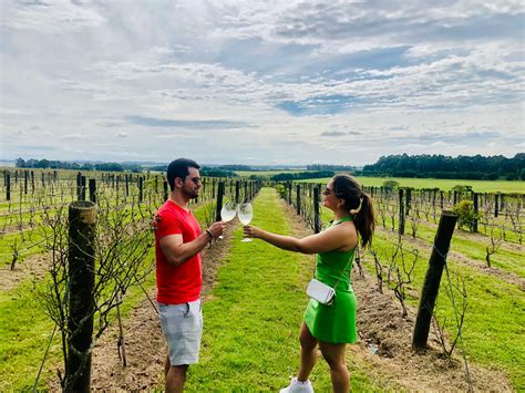 Wine Lovers - Punta Wine Experience off beaten track - Guided Wine Tour
