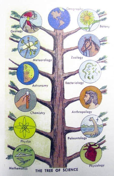 Science: science | Branches of science, Science worksheets, Science