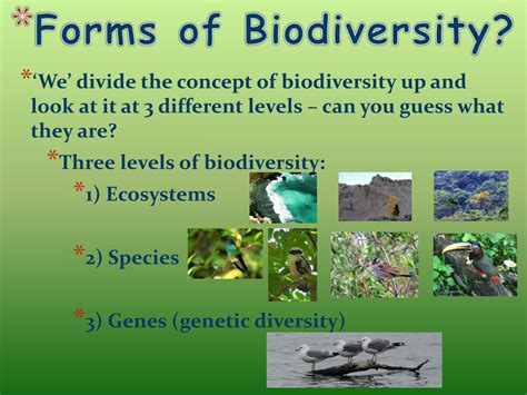 Ppt Biodiversity Powerpoint Presentation Free Download Id2792077