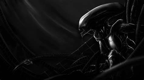 Wallpaper Digital Art Science Fiction Xenomorph Aliens Boobs