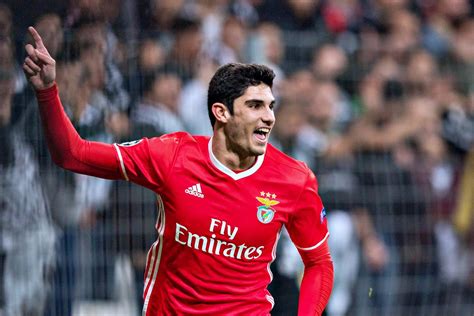 Plus Benfica On Twitter Gon Alo Guedes Regressa Ao