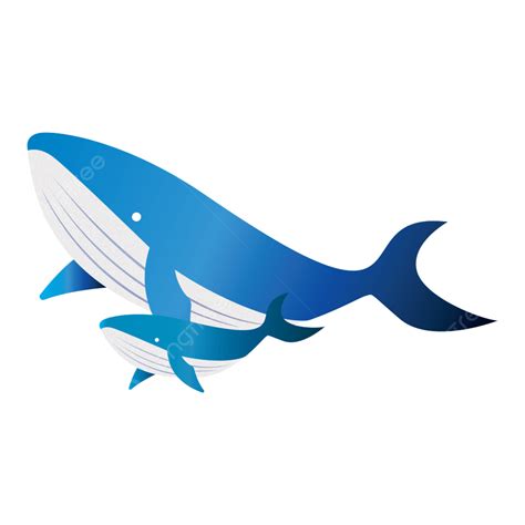 Cute Beluga Whale Clipart Hd PNG, Cute Wind Whale, Whale, Png Element