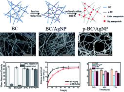 Antibacterial Properties And Cytocompatibility Of Bio Based