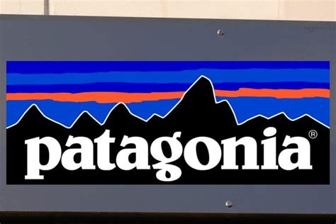 Patagonia Logo And Its History - CoolSpotters