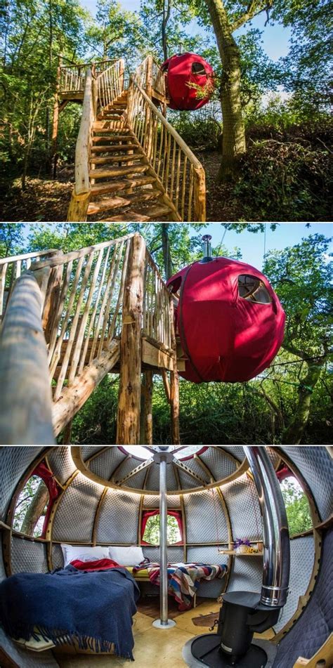 The Inside Of A Tree House With Stairs