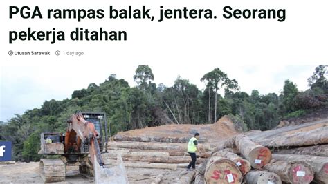 Jabatan Hutan Nafi Wujud Pembalakan Haram Di Selangau UTUSAN SARAWAK