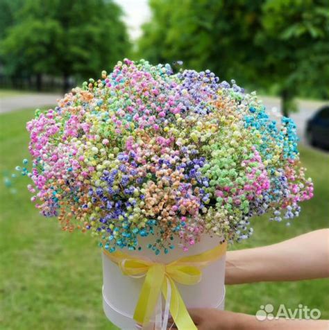 Композиции из Гипсофилы в Коробках. Цветы купить в Краснодаре | Товары ...