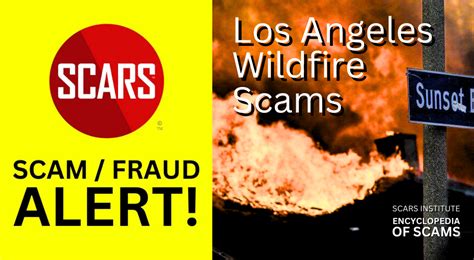 Urgent Warning: Is Beastiegald a Scam Targeting You? - y1i99t4
