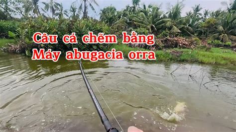 Máy Ngang Abugacia orra Cần 5 Khút VLing Long Đại Ngáo khoen Fuji