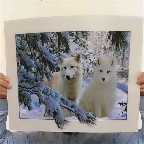 3d Lenticular Printing Cards Great Effect Good Sell 3d Lenticular Cards