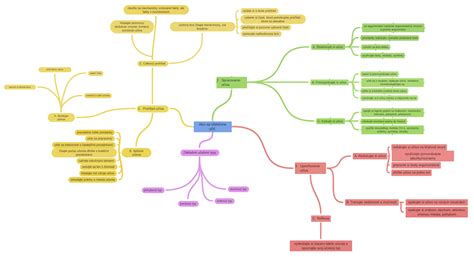 Ako Sa Efektívne Učiť Coggle Diagram