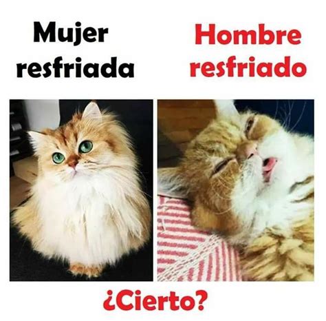 Mujer Vs Hombre Con Resfriado Memes Divertidos Memes Hombres