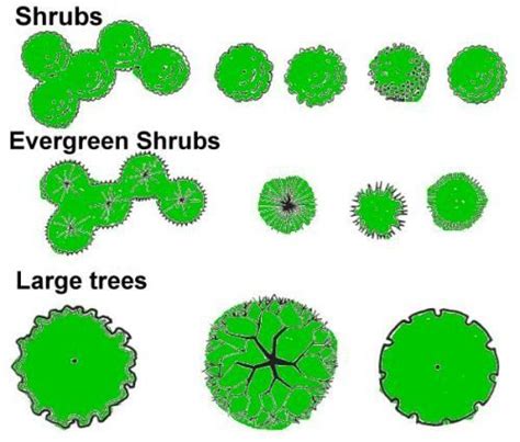 Landscape Symbols on Pinterest | Landscape Design, Symbols and Landscaping