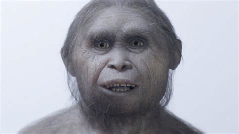 New Hobbit Fossils Provide A Glimpse Into Human Relative