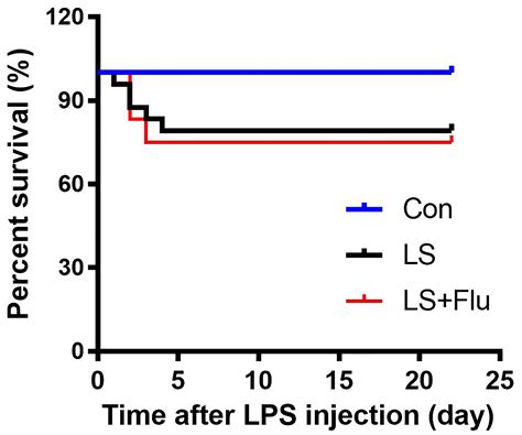 Parvalbumin interneuron-mediated neural disruption in an animal model ...
