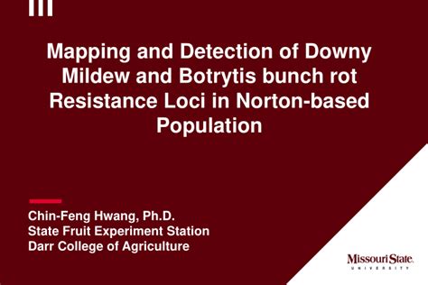 PPT Mapping And Detection Of Downy Mildew And Botrytis Bunch Rot