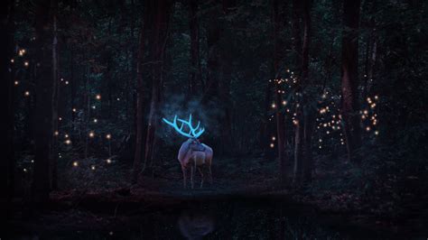 Deer Background