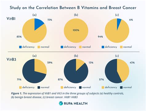 The Role of B Vitamins in Methylation Processes: Clinical Applications and Dosage Guidelines