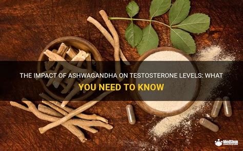 The Impact Of Ashwagandha On Testosterone Levels What You Need To Know