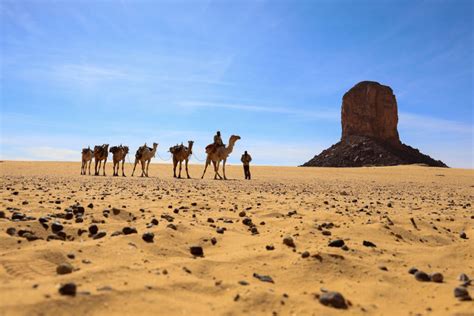 Chad Gerewol Festival Days In October Kumakonda