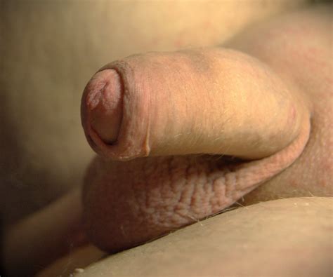 Shaved Penis And Ballsack 4 Nude Pics XHamster