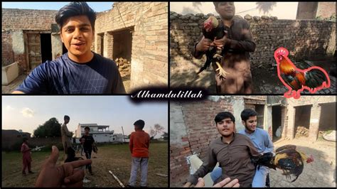 Murga Bechnay Gay Lakin Ahad Bhatti Vlogs YouTube