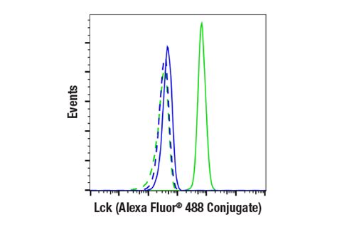 Lck 73A5 Rabbit MAb Alexa Fluor 488 Conjugate Cell Signaling