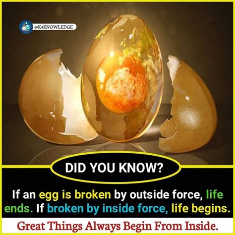 10 Unbelievable Facts About Livvy Leaks You Won't Believe - y96e3s0