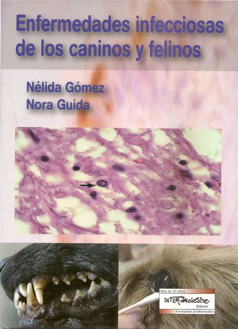 Enfermedades Infecciosas De Los Caninos Y Felinos Ediciones T Cnicas