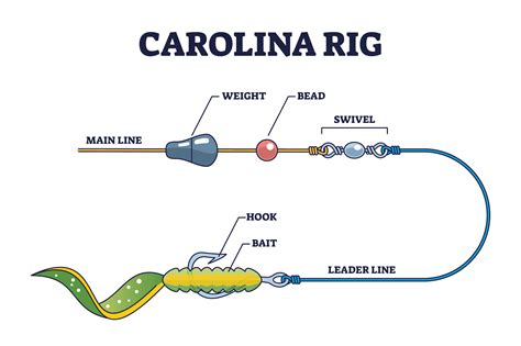 Carolina Rig Soft Baits - Deep Water Fishing Made Easy | Barracuda Baits