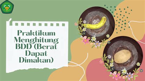 Praktikum Menghitung Bdd Nurul Fitri Mubarokah Prodi Gizi Universitas