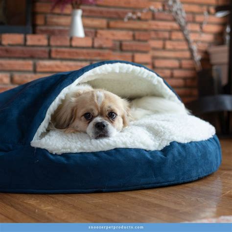 Snoozer Cozy Cave® Dog Beds | Dog Cave Beds | Hooded, Covered Beds ...