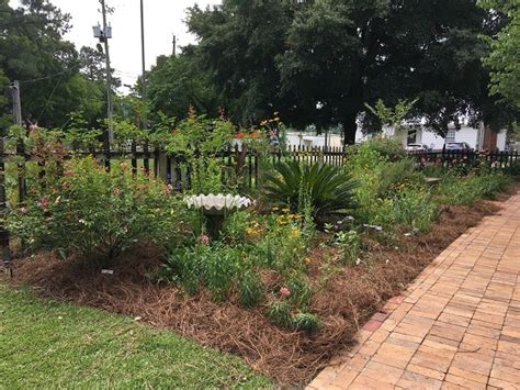 Autauga County Master Gardeners Plant Sale Set For This Saturday