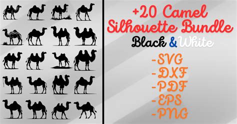 Camel Silhouette Svg Bundle Bundle · Creative Fabrica