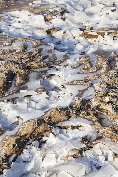 A Thick Layer Of Ice Formed On The Territory Of The Field Stock Image