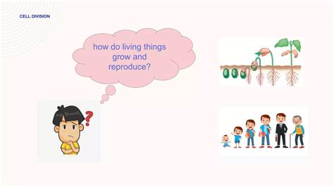 Reproductive Systempptx