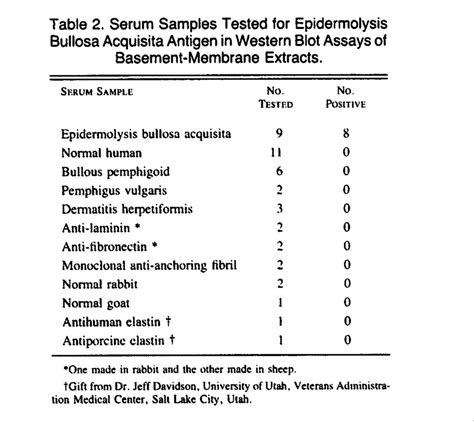 Epidermolysis Bullosa Acquisita Immunofluorescence