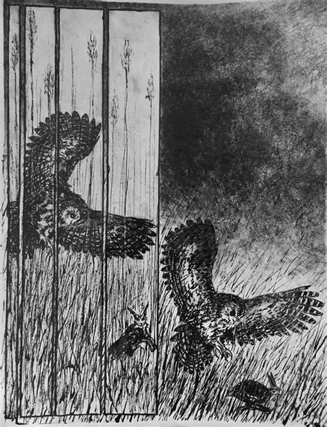 Riders on the Storm | Pas verschenen | Stripspeciaalzaak