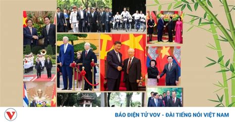 Ngoại Giao Cây Tre Việt Nam Chắc ở Gốc Vững ở Thân Uyển Chuyển Như