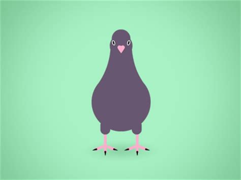 Pigeon Dance (animated) by Małgorzata Ostaszewska on Dribbble