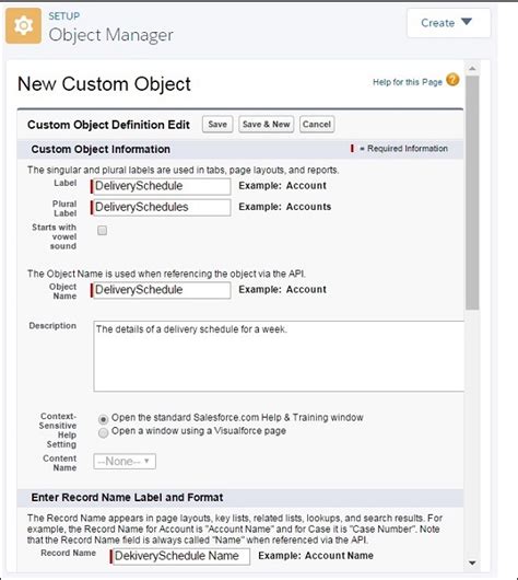 Salesforce Custom Objects