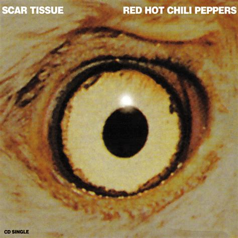 Red Hot Chili Peppers Scar Tissue Single Lyrics And Tracklist Genius