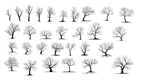 Premium Vector Dead Trees Naked Trees Silhouettes Winter Trees Isolated On White