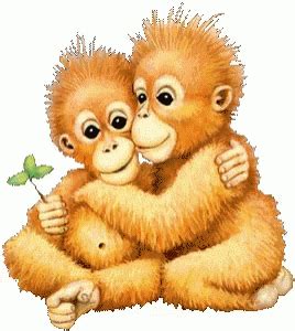 Cute Monkeys Hugging GIFs | Tenor