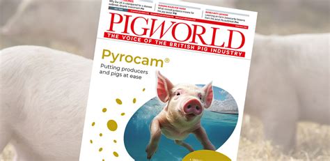 july  issue  pig world   pig world