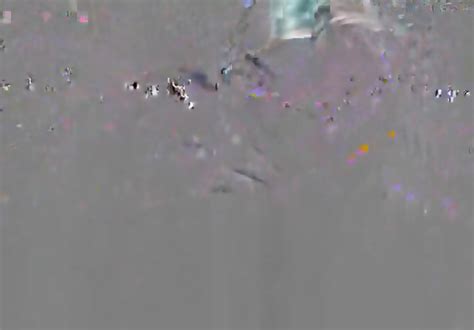 Beautiful Babe Loves Sucking Huge Cock