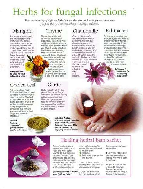 Herbalism, Herbal healing, Herbal medicine